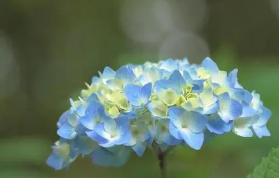 妈妈生日最感动的话短句 祝妈妈生日快乐简短真实点(图1)