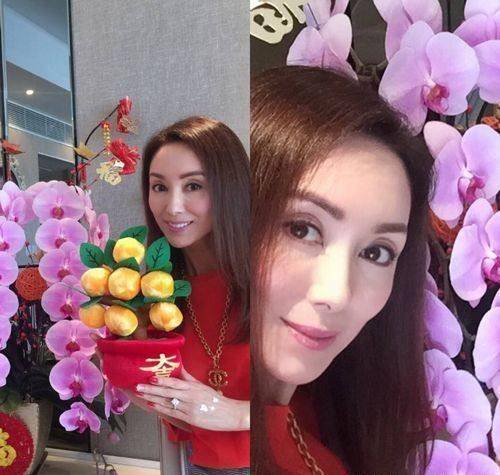 明星春节晒花：林心如晒玫瑰，刘晓庆晒菊花，最后一个亮了！ 